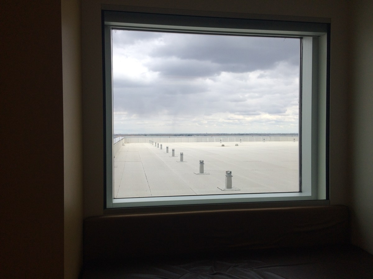 Eat, Pray, Love, Nurse,&nbsp;Betray