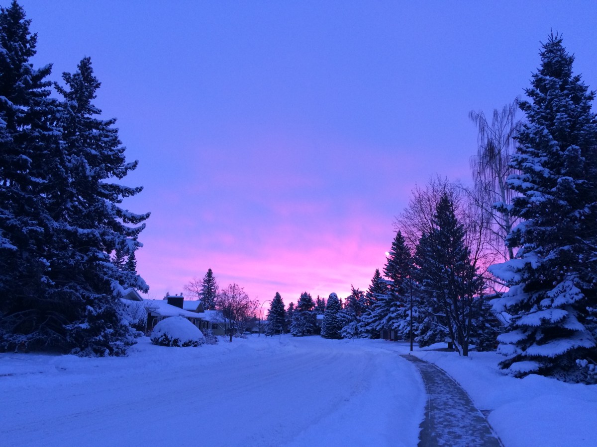 The Lonely One: chapter&nbsp;one