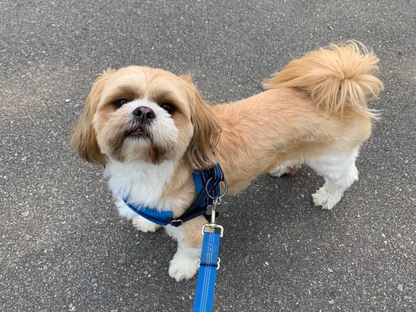 Bipolar Warning Signs